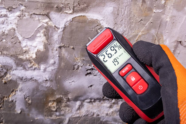 Best Crawl Space Mold Removal  in Coronita, CA