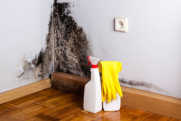 Water Damage Restoration in Coronita, CA